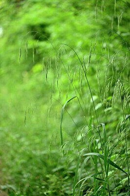 BUITEN BEELD Foto: 435543