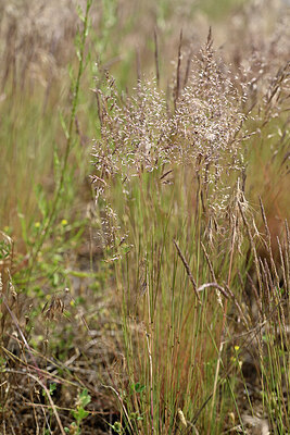 BUITEN BEELD Foto: 435548