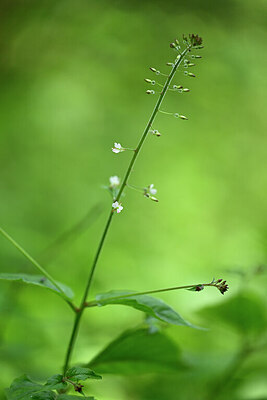 BUITEN BEELD Foto: 435549