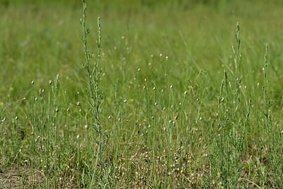 BUITEN BEELD Foto: 435557