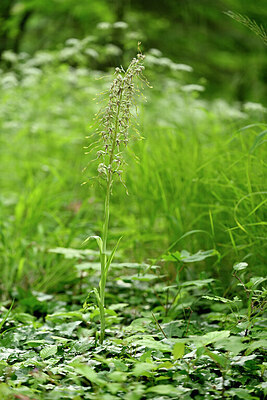 BUITEN BEELD Foto: 435561