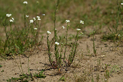 BUITEN BEELD Foto: 435564