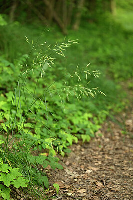 BUITEN BEELD Foto: 435573