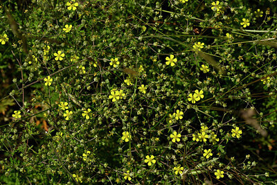 BUITEN BEELD Foto: 435578