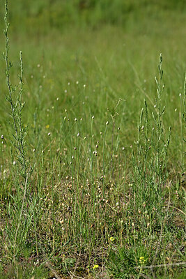 BUITEN BEELD Foto: 435584