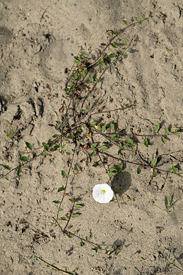 BUITEN BEELD Foto: 435590