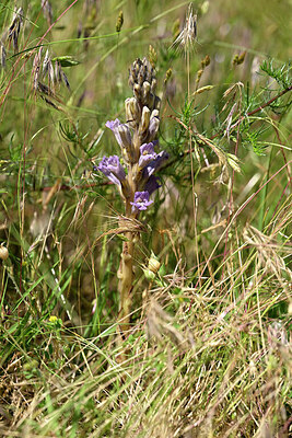BUITEN BEELD Foto: 435606