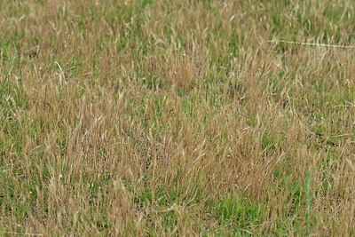 BUITEN BEELD Foto: 435633