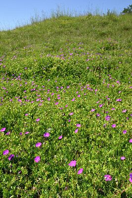 BUITEN BEELD Foto: 435641