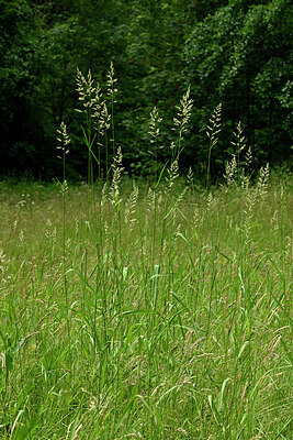 BUITEN BEELD Foto: 435645