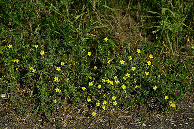 BUITEN BEELD Foto: 435647
