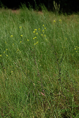 BUITEN BEELD Foto: 435652