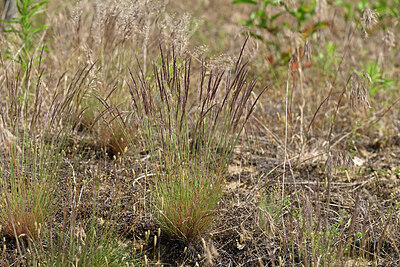 BUITEN BEELD Foto: 435658