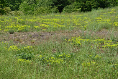 BUITEN BEELD Foto: 435661