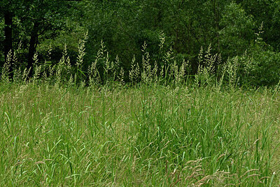 BUITEN BEELD Foto: 435666