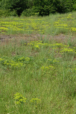 BUITEN BEELD Foto: 435671