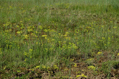 BUITEN BEELD Foto: 435674