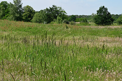 BUITEN BEELD Foto: 435678