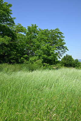 BUITEN BEELD Foto: 435680
