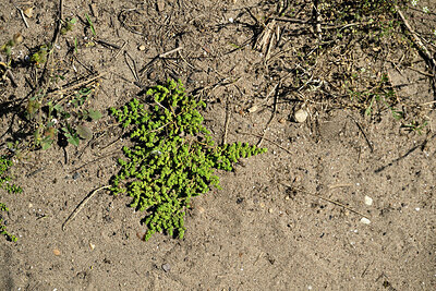 BUITEN BEELD Foto: 435682