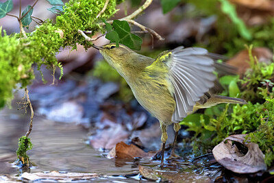 BUITEN BEELD Foto: 435804