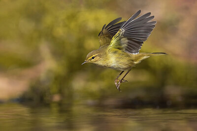 BUITEN BEELD Foto: 435812