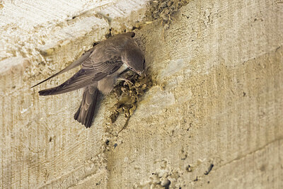BUITEN BEELD Foto: 435875