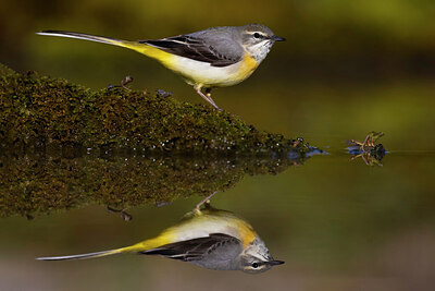 BUITEN BEELD Foto: 436110