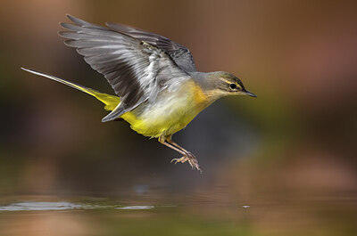 BUITEN BEELD Foto: 436119
