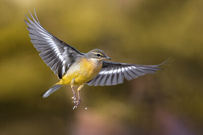 BUITEN BEELD Foto: 436122