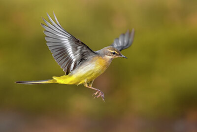 BUITEN BEELD Foto: 436123