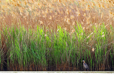 BUITEN BEELD Foto: 436292