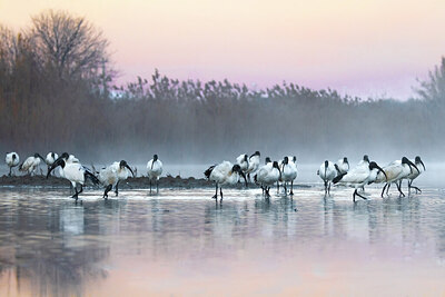 BUITEN BEELD Foto: 436347