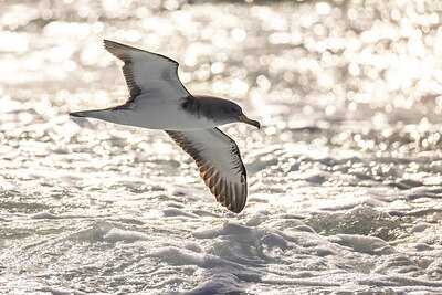 BUITEN BEELD Foto: 436357