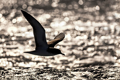 BUITEN BEELD Foto: 436358
