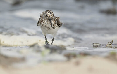 BUITEN BEELD Foto: 436493