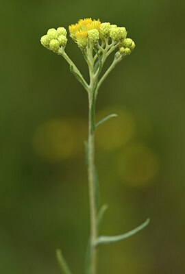 BUITEN BEELD Foto: 436604