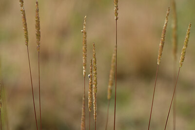 BUITEN BEELD Foto: 436694