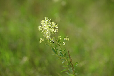 BUITEN BEELD Foto: 436709