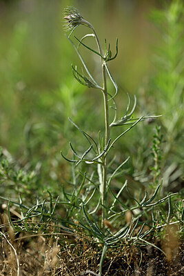 BUITEN BEELD Foto: 436723
