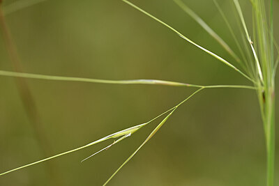 BUITEN BEELD Foto: 436728