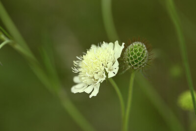 BUITEN BEELD Foto: 436734