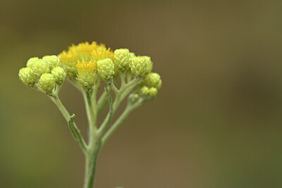 BUITEN BEELD Foto: 436737