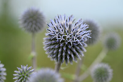 BUITEN BEELD Foto: 436744