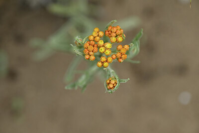 BUITEN BEELD Foto: 436754