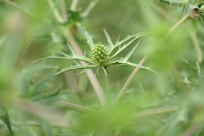 BUITEN BEELD Foto: 436756