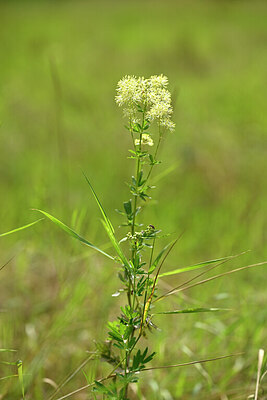 BUITEN BEELD Foto: 436759