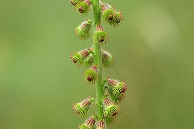 BUITEN BEELD Foto: 436768
