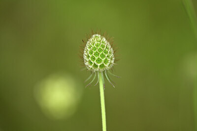 BUITEN BEELD Foto: 436769