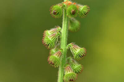 BUITEN BEELD Foto: 436779